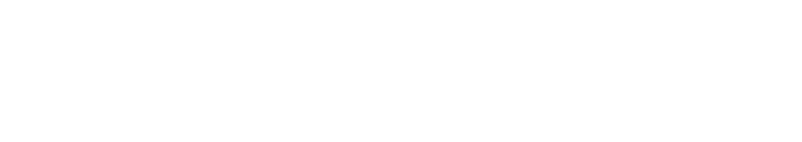 Logo Jan de Nul - PSR